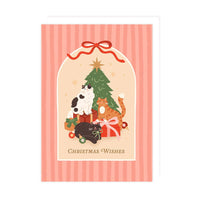 Christmas Cats, Boxed Christmas Card Packs